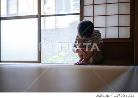 和室と子供 114558315