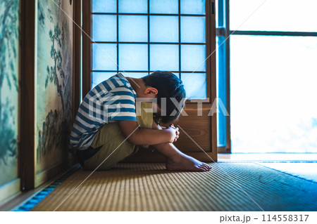 和室と子供 114558317