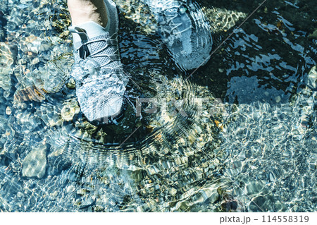 Image photo 114558319