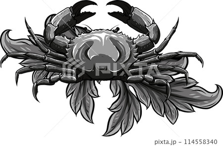 monochrome Crab with claws. Sketch in a linear style isolated on a white background. 114558340