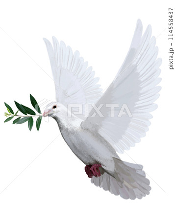 白鳩(オリーブの枝付き) 白鳩(オリーブの枝付き) 114558437