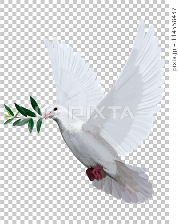 白鳩(オリーブの枝付き) 白鳩(オリーブの枝付き) 114558437
