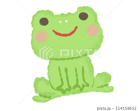 手描き風のカエルのイラスト 114558632
