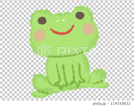 手描き風のカエルのイラスト 114558632