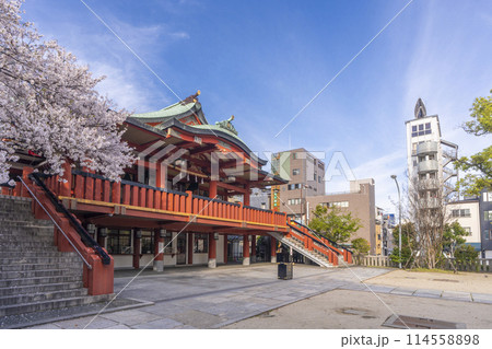 茨住吉神社　満開の桜（大阪市西区九条） 114558898