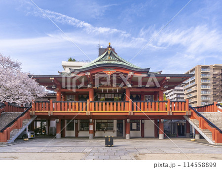 茨住吉神社　満開の桜（大阪市西区九条） 114558899