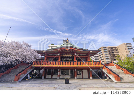 茨住吉神社　満開の桜（大阪市西区九条） 114558900