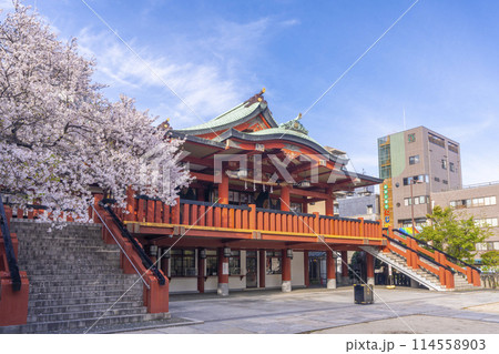 茨住吉神社　満開の桜（大阪市西区九条） 114558903
