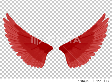 Both wings (red) 114559155