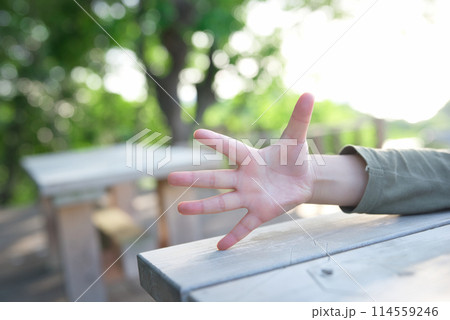 子どもの手 子どもの手 114559246