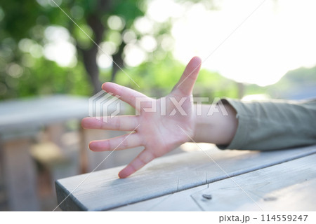 子どもの手 114559247