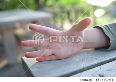 子どもの手 114559264
