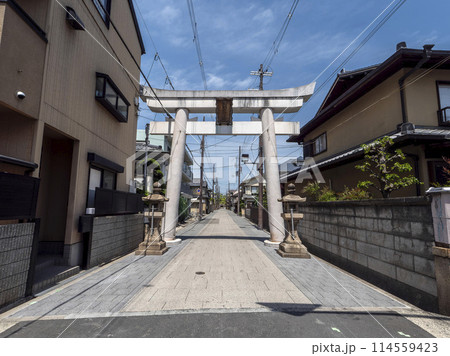 街中を通る志紀長吉神社の参道と鳥居 114559423