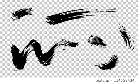 Handwriting, Dynamic Lines 114559434