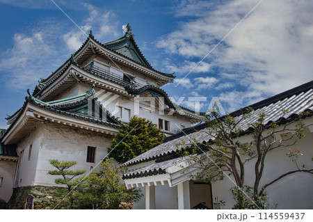 青空に映える紀州徳川家の居城「和歌山城」 114559437