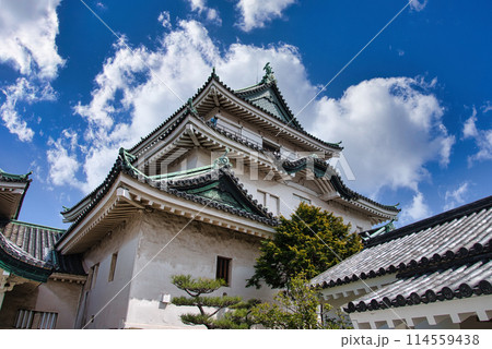 青空に映える紀州徳川家の居城「和歌山城」 114559438