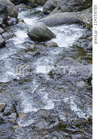 春の渓谷の清流 鳥取県 小耶馬渓 春の渓谷の清流 鳥取県 小耶馬渓 114559785