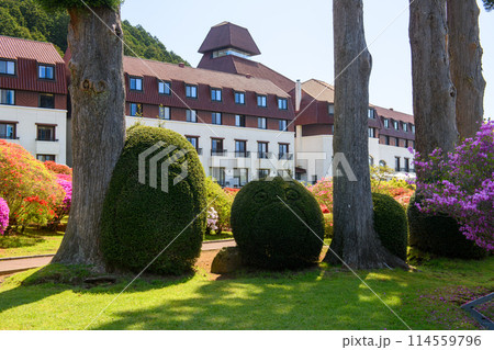 ツツジ庭園のトピアリー・山のホテル（神奈川県） 114559796