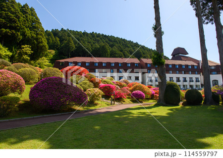 山のホテル庭園のツツジとトピアリー・箱根（神奈川県） 114559797