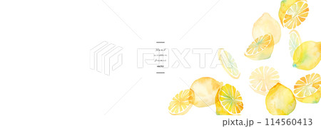 水彩画。水彩タッチのレモンベクターイラスト。夏の水彩レモンイラスト。爽やかな夏のレモン柄。 114560413