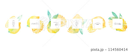 水彩画。水彩タッチのレモンベクターイラスト。夏の水彩レモンイラスト。爽やかな夏のレモン柄。 114560414