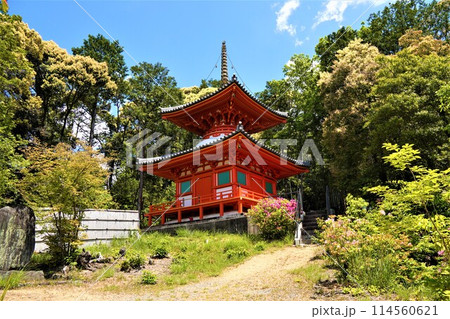 今熊野観音寺の朱色の二重塔 114560621