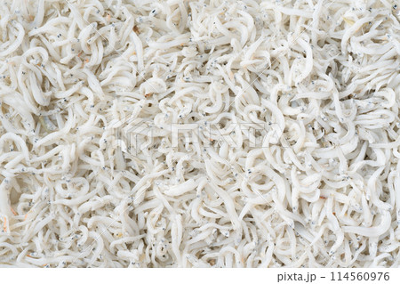 しらすの背景 しらすの背景 114560976