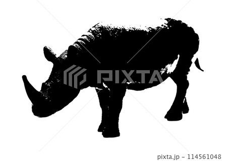 silhouette of rhinoceros model stand isolated on white background 114561048