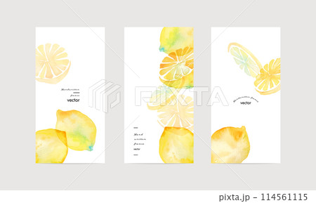 水彩画。水彩タッチのレモンベクターイラスト。夏の水彩レモンイラスト。爽やかな夏のレモン柄。 水彩画。水彩タッチのレモンベクターイラスト。夏の水彩レモンイラスト。爽やかな夏のレモン柄。 114561115