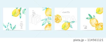 水彩画。水彩タッチのレモンベクターイラスト。夏の水彩レモンイラスト。爽やかな夏のレモン柄。 114561121