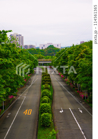 道路のある風景　稲城市長峰 114561365