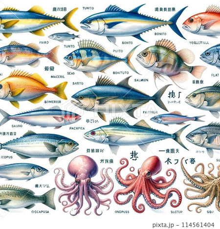 水彩で描いたイカのイラスト 114561404