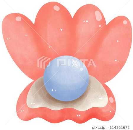 Natural open pearl shell 114561675