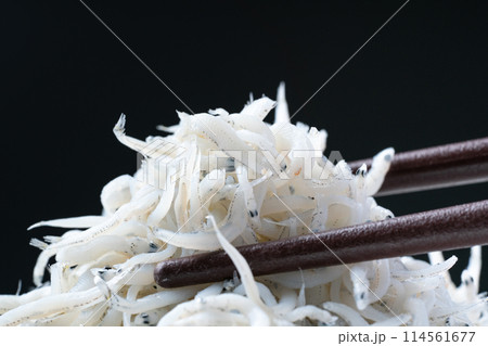 釜揚げしらす 釜揚げしらす 114561677