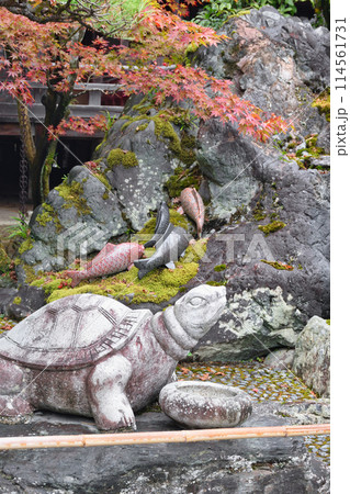 京都　松尾大社　神使の庭　亀と鯉（京都府京都市西京区） 114561731