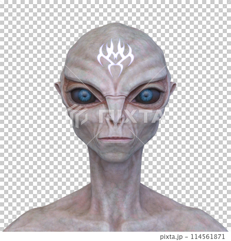 外星人的臉 114561871
