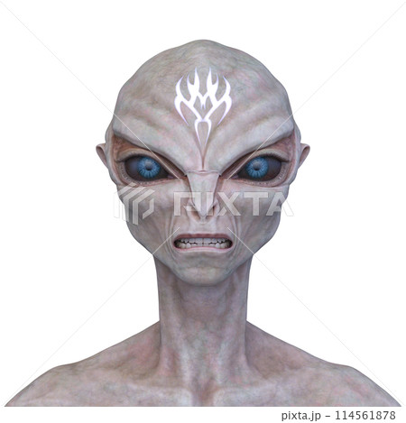 エイリアンの顔 114561878