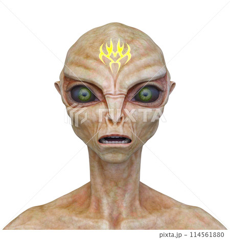 エイリアンの顔 114561880