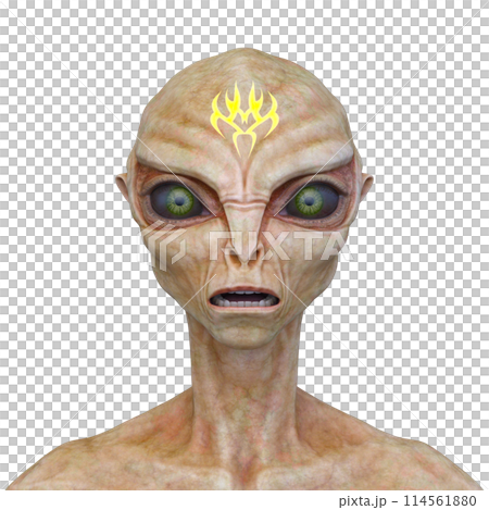 エイリアンの顔 114561880