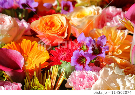 糸島の花手水 糸島の花手水 114562074