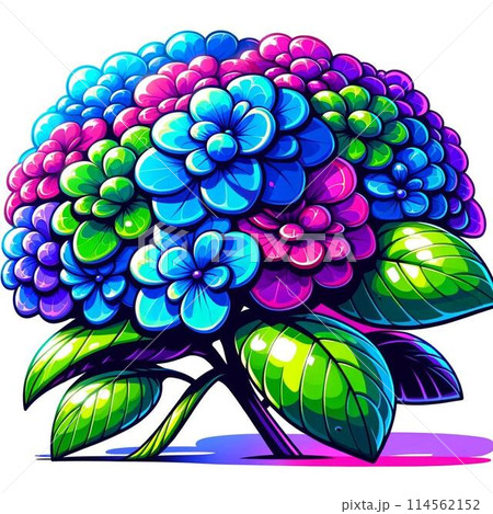 カラフルな紫陽花 カラフルな紫陽花 114562152