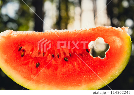 Fresh juicy red watermelon slice flower shaped in hands on background of outdoor garden in summertime during sunset. Concept of summer holidays and vacation. Slow-living 114562243