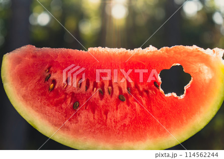 Man holding red watermelon slice cut into flower shape in green garden background concept. Sunset outdoors summer day. Healthy seasonal local food Man holding red watermelon slice cut into flower shape in green garden background concept. Sunset outdoors summer day. Healthy seasonal local food 114562244