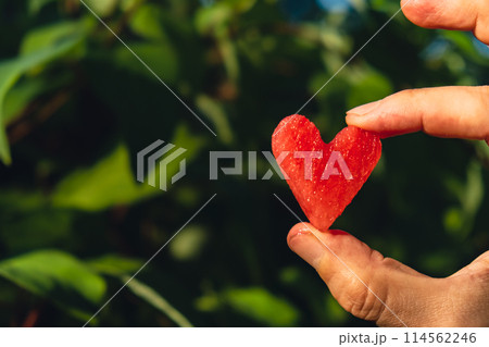 Man holding red watermelon slice cut into heart shape in green garden background. Valentine's Day love concept. Sunset outdoors summer day. Healthy seasonal local food 114562246