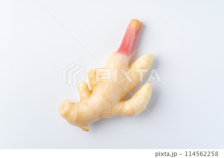 新生姜 新生姜 114562258