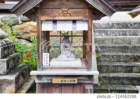 京都 松尾大社 幸運の双鯉(京都府京都市西京区) 京都 松尾大社 幸運の双鯉(京都府京都市西京区) 114562266