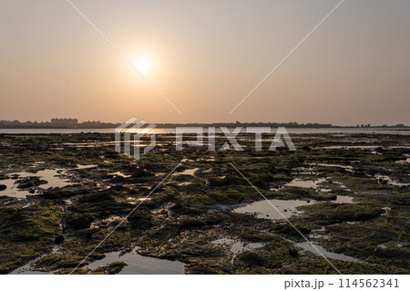 台湾澎湖縣ポンフー島の海岸 Beach in Taiwan Penghu Island 台湾澎湖縣ポンフー島の海岸 Beach in Taiwan Penghu Island 114562341