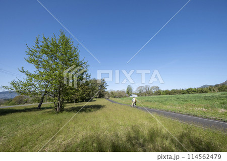 新緑・初夏のサイクリングイメージ (蒜山高原) 新緑・初夏のサイクリングイメージ (蒜山高原) 114562479