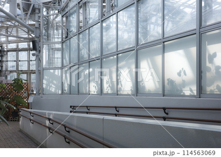 大温室 神代植物公園 大温室 神代植物公園 114563069