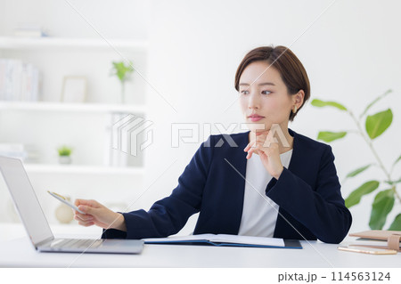 ビジネス 接客をするスーツを着た女性 ビジネス 接客をするスーツを着た女性 114563124